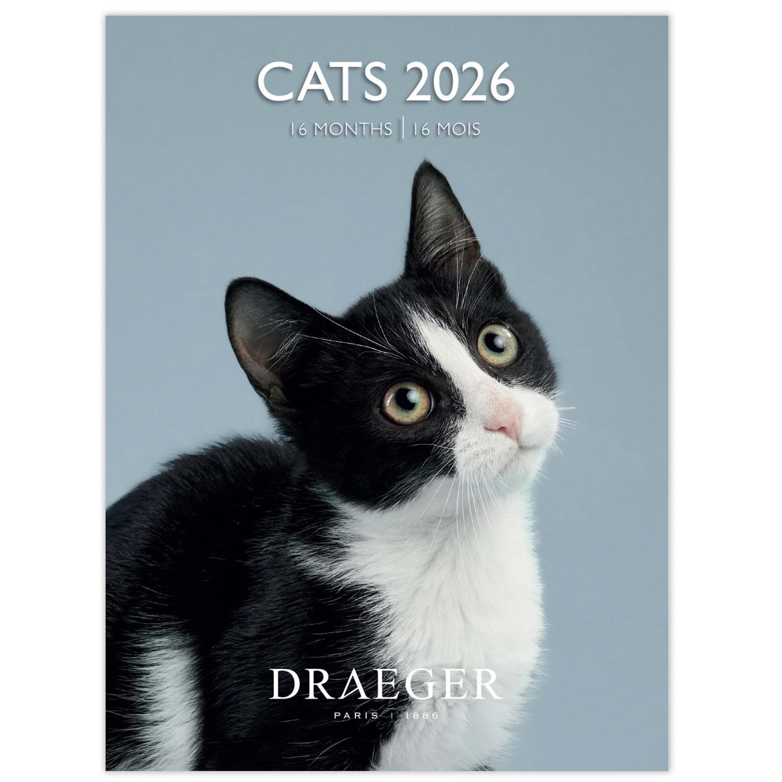 ドレジャー CATS 2024年 スモールカレンダー 壁掛け モノクロ Amazon.co.jp: トーダン 2025年 カレンダー 壁掛け モノクローム